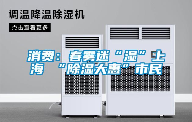 消费：春雾迷“湿”上海 “除湿大惠”市民