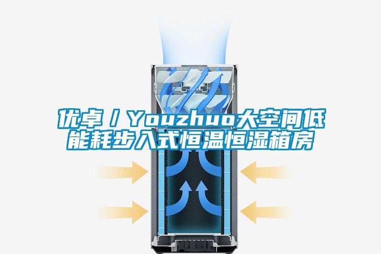 优卓/Youzhuo大空间低能耗步入式恒温恒湿箱房