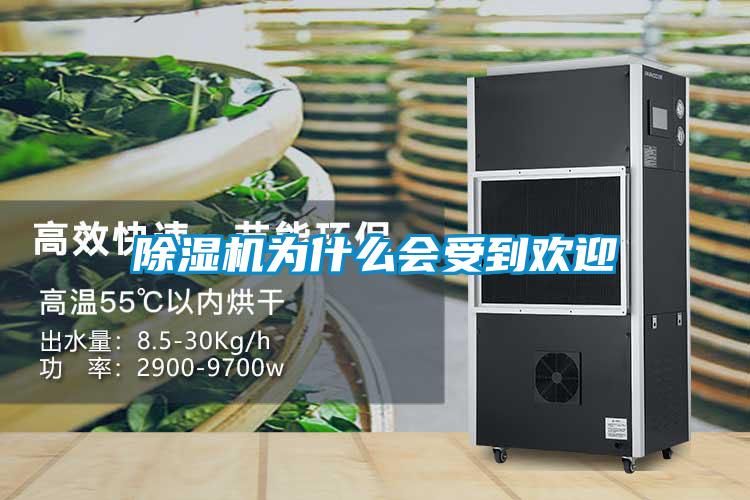 精品一区二区三区水蜜桃为什么会受到欢迎