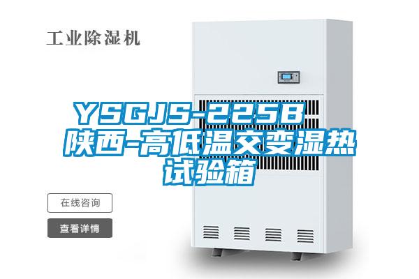 YSGJS-225B 陕西-高低温交变湿热试验箱