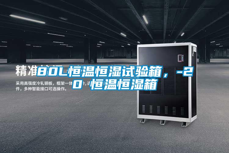 80L恒温恒湿试验箱，-20℃恒温恒湿箱