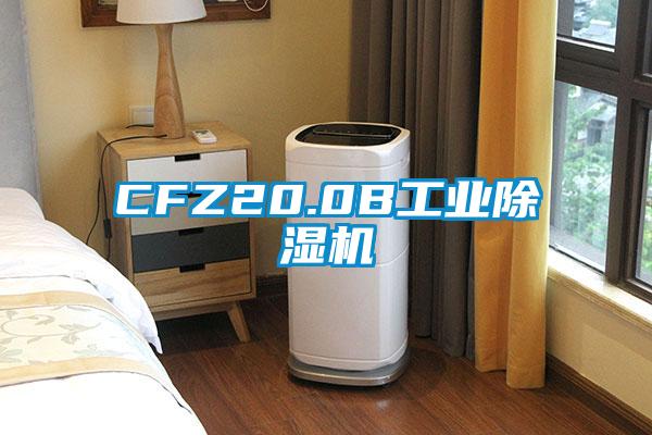 CFZ20.0B工业精品一区二区三区水蜜桃