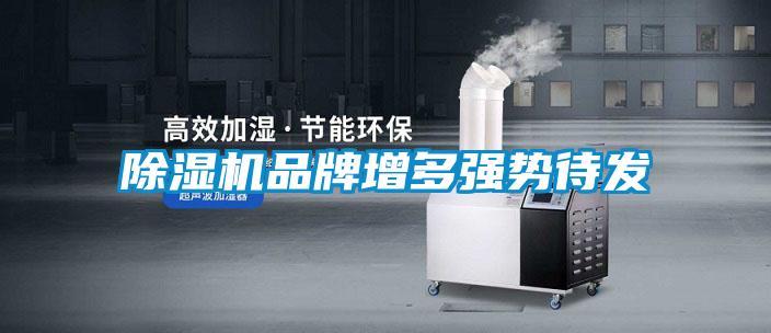 精品一区二区三区水蜜桃品牌增多强势待发