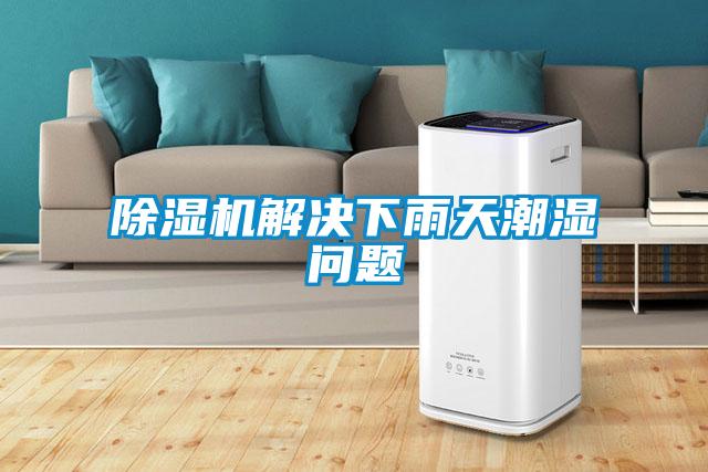 精品一区二区三区水蜜桃解决下雨天潮湿问题