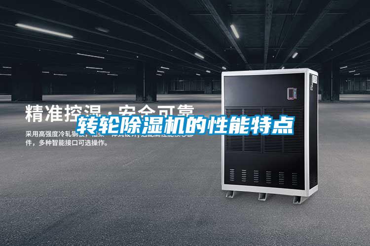 转轮精品一区二区三区水蜜桃的性能特点