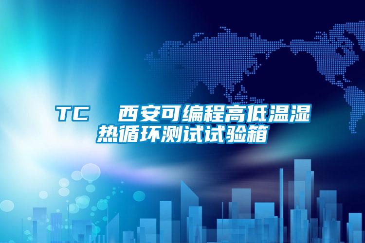 TC 西安可编程高低温湿热循环测试试验箱