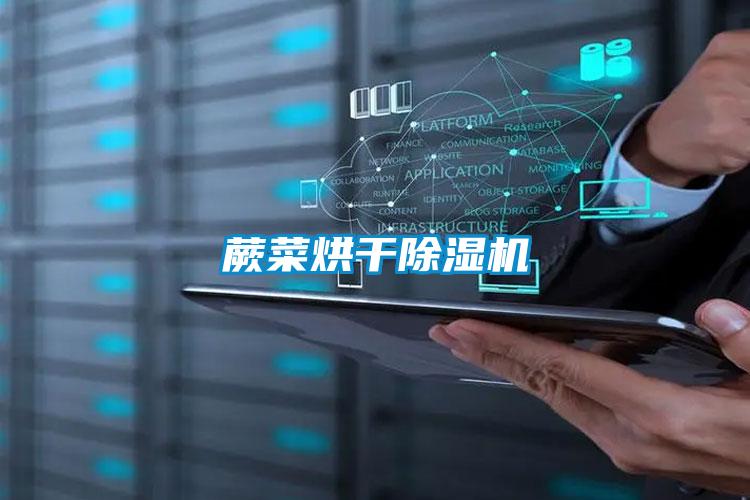 蕨菜烘干精品一区二区三区水蜜桃