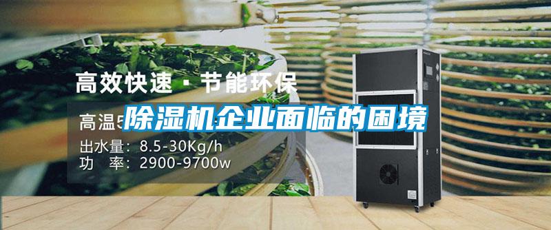 精品一区二区三区水蜜桃企业面临的困境