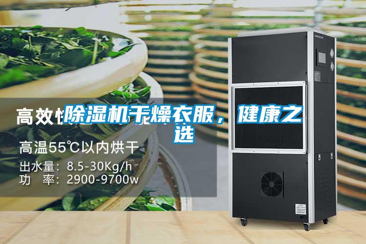 精品一区二区三区水蜜桃干燥衣服，健康之选