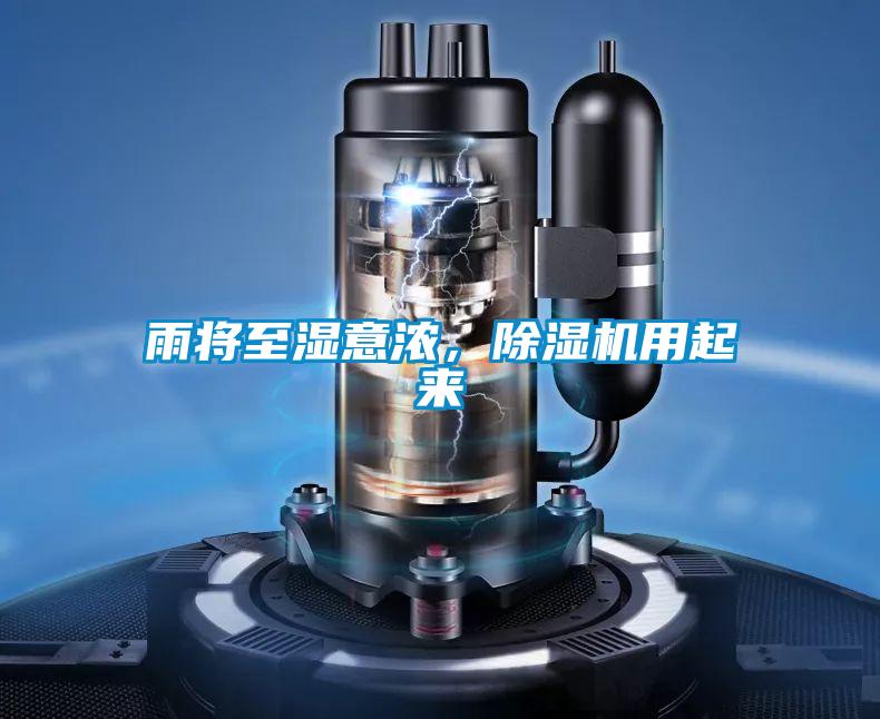 雨将至湿意浓，精品一区二区三区水蜜桃用起来