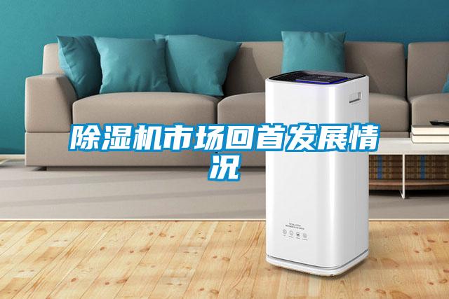 精品一区二区三区水蜜桃市场回首发展情况