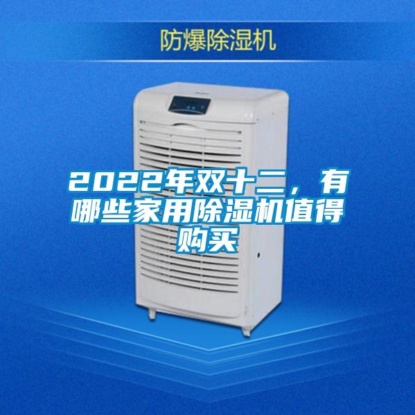 2022年双十二，有哪些家用精品一区二区三区水蜜桃值得购买