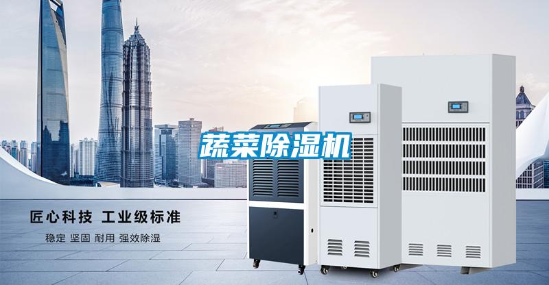 蔬菜精品一区二区三区水蜜桃