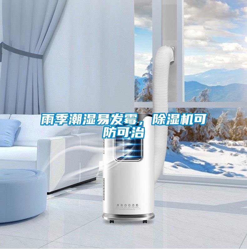 雨季潮湿易发霉，精品一区二区三区水蜜桃可防可治