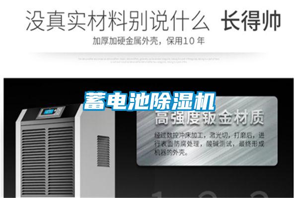 蓄电池精品一区二区三区水蜜桃