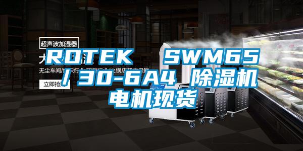 ROTEK  SWM65／30-6A4 精品一区二区三区水蜜桃电机现货