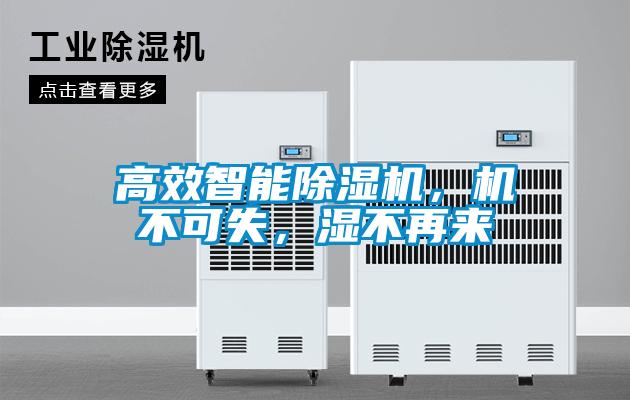 高效智能精品一区二区三区水蜜桃，机不可失，湿不再来