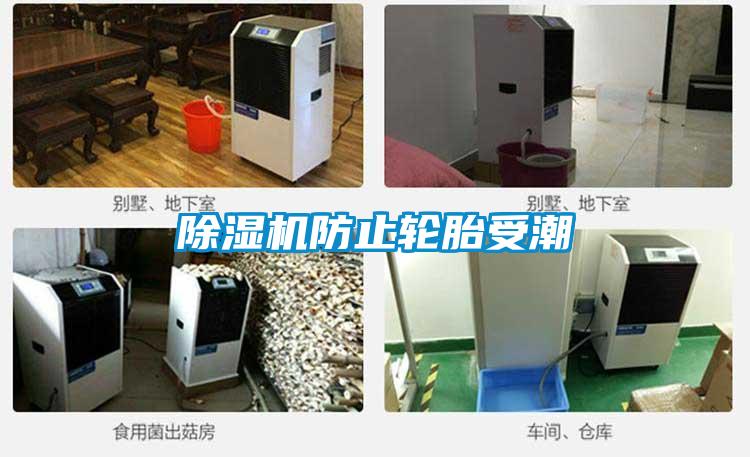 精品一区二区三区水蜜桃防止轮胎受潮