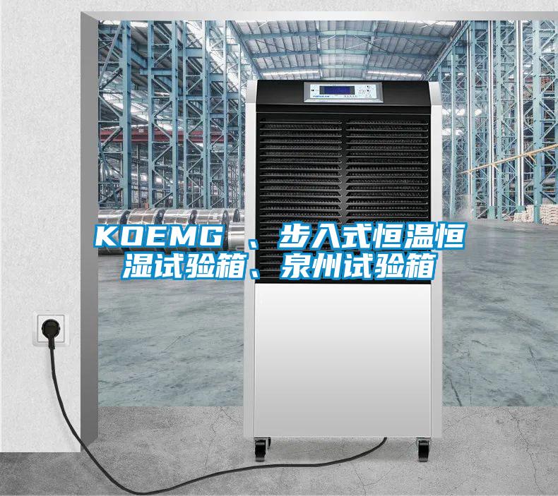 KOEMG 、步入式恒温恒湿试验箱、泉州试验箱