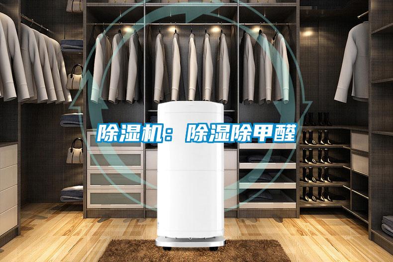 精品一区二区三区水蜜桃：除湿除甲醛