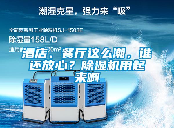 酒店、餐厅这么潮，谁还放心？精品一区二区三区水蜜桃用起来啊