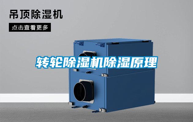 转轮精品一区二区三区水蜜桃除湿原理