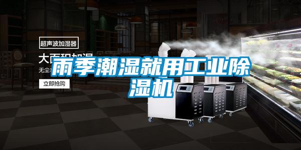 雨季潮湿就用工业精品一区二区三区水蜜桃