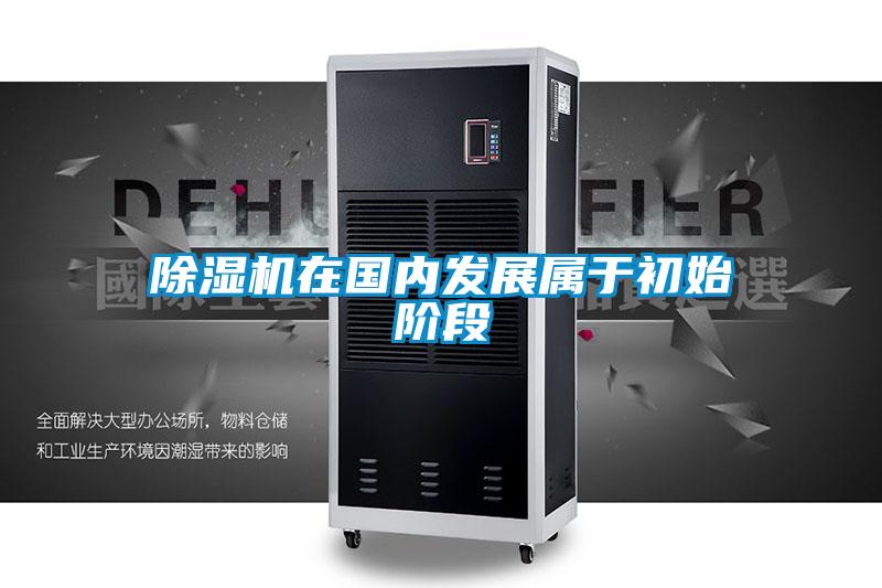 精品一区二区三区水蜜桃在国内发展属于初始阶段