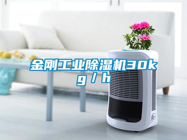 金刚工业精品一区二区三区水蜜桃30kg／h