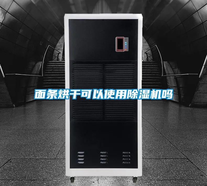 面条烘干可以使用精品一区二区三区水蜜桃吗