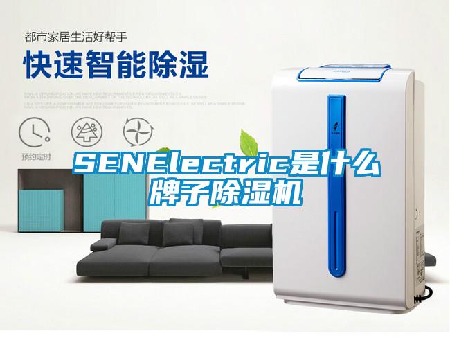 SENElectric是什么牌子精品一区二区三区水蜜桃