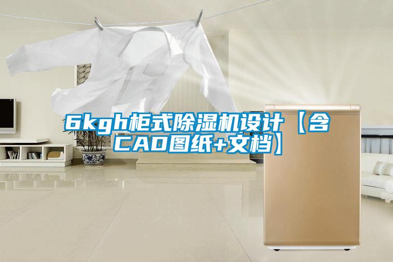 6kgh柜式精品一区二区三区水蜜桃设计【含CAD图纸+文档】