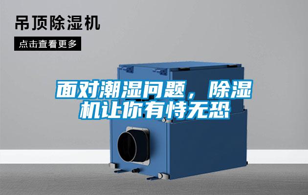 面对潮湿问题，精品一区二区三区水蜜桃让你有恃无恐