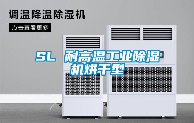 SL 耐高温工业精品一区二区三区水蜜桃烘干型