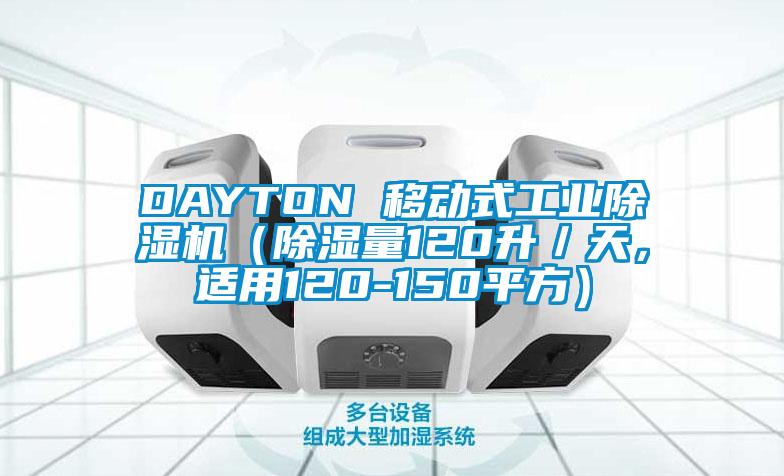 DAYTON 移动式工业精品一区二区三区水蜜桃（除湿量120升／天，适用120-150平方）