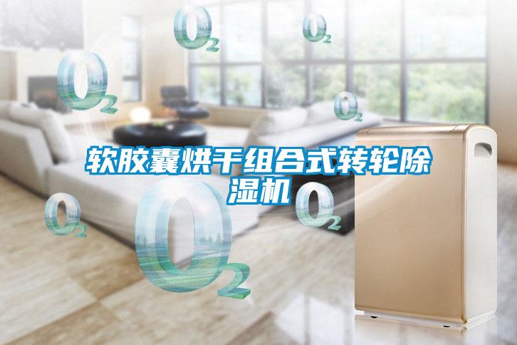 软胶囊烘干组合式转轮精品一区二区三区水蜜桃