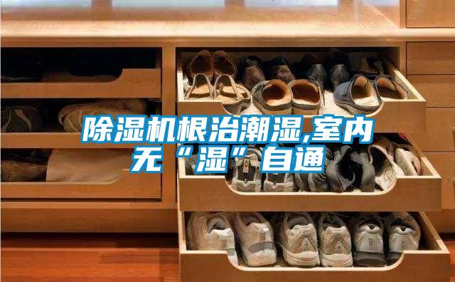 精品一区二区三区水蜜桃根治潮湿,室内无“湿”自通