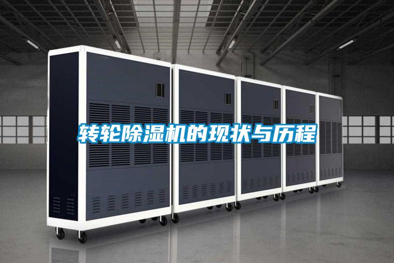 转轮精品一区二区三区水蜜桃的现状与历程