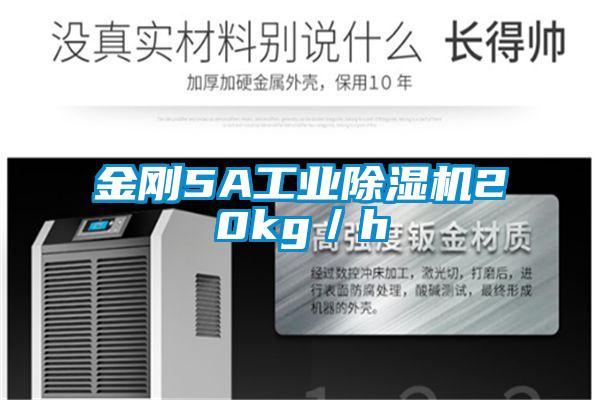 金刚5A工业精品一区二区三区水蜜桃20kg/h