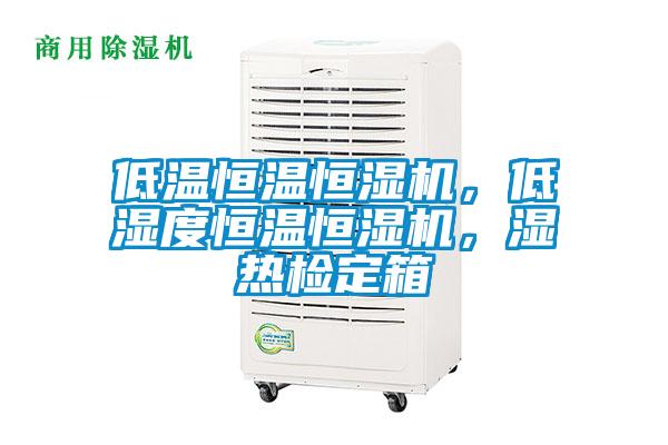 低温恒温恒湿机，低湿度恒温恒湿机，湿热检定箱