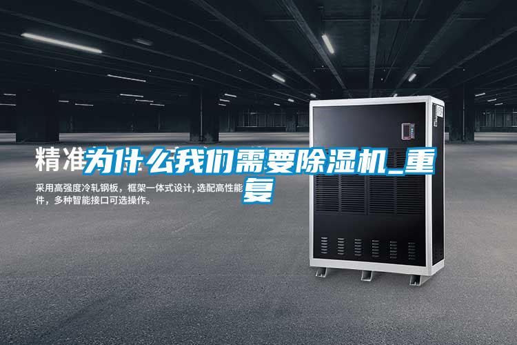 为什么99精品久久久久久水蜜桃需要精品一区二区三区水蜜桃_重复