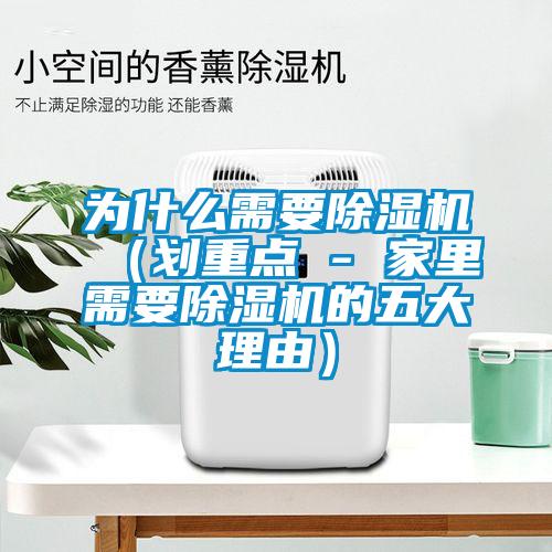 为什么需要精品一区二区三区水蜜桃(划重点 - 家里需要精品一区二区三区水蜜桃的五大理由)
