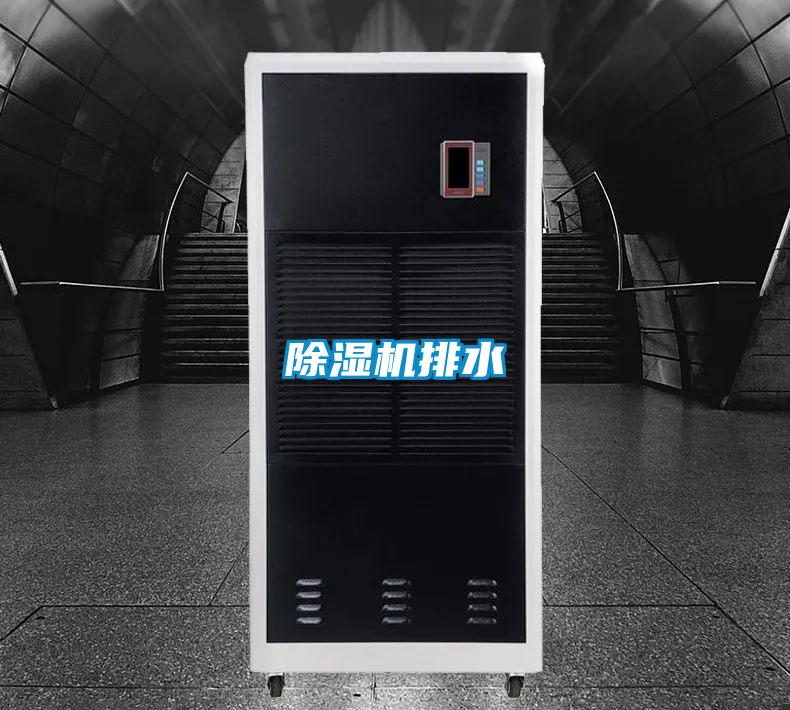 精品一区二区三区水蜜桃排水