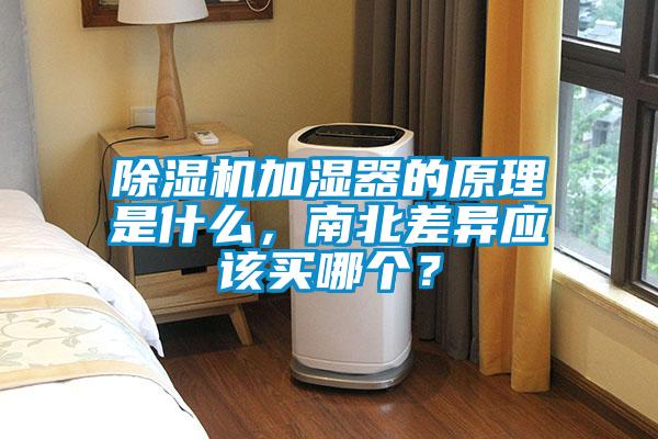 精品一区二区三区水蜜桃加湿器的原理是什么，南北差异应该买哪个？