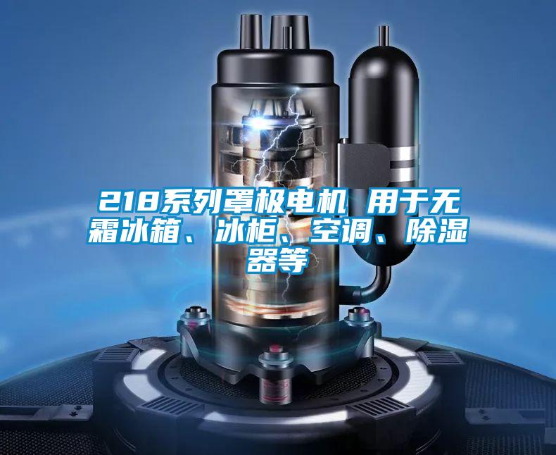 218系列罩极电机 用于无霜冰箱、冰柜、空调、除湿器等