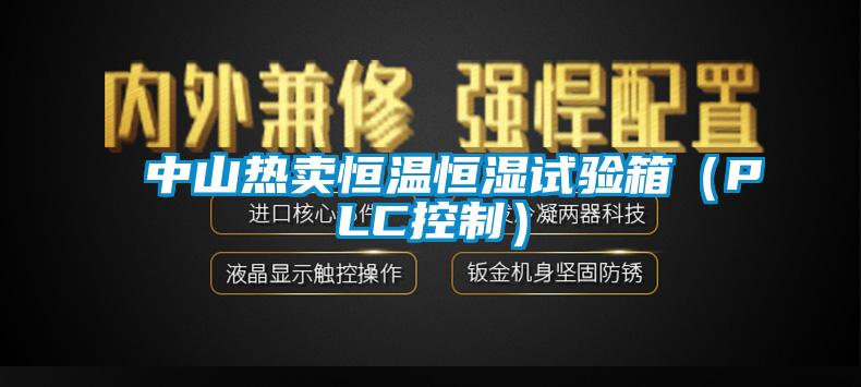 中山热卖恒温恒湿试验箱(PLC控制)