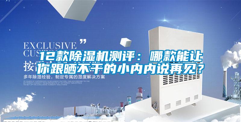 12款精品一区二区三区水蜜桃测评：哪款能让你跟晒不干的小内内说再见？