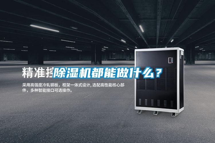 精品一区二区三区水蜜桃都能做什么？