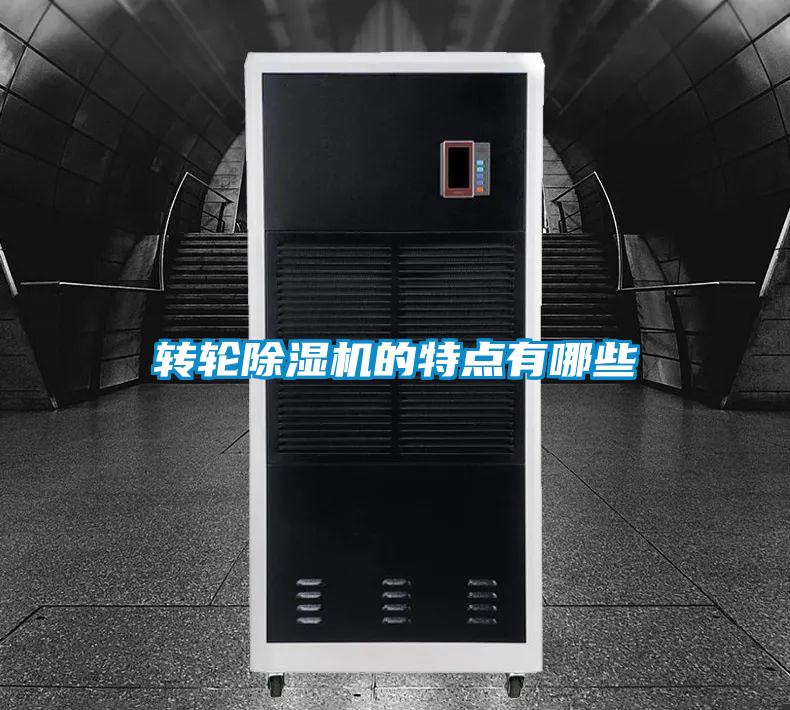 转轮精品一区二区三区水蜜桃的特点有哪些