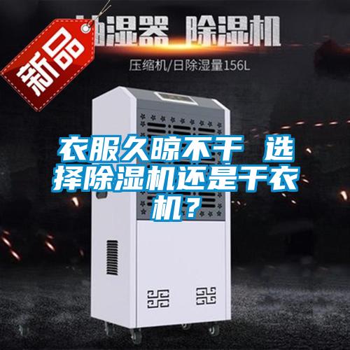 衣服久晾不干 选择精品一区二区三区水蜜桃还是干衣机？